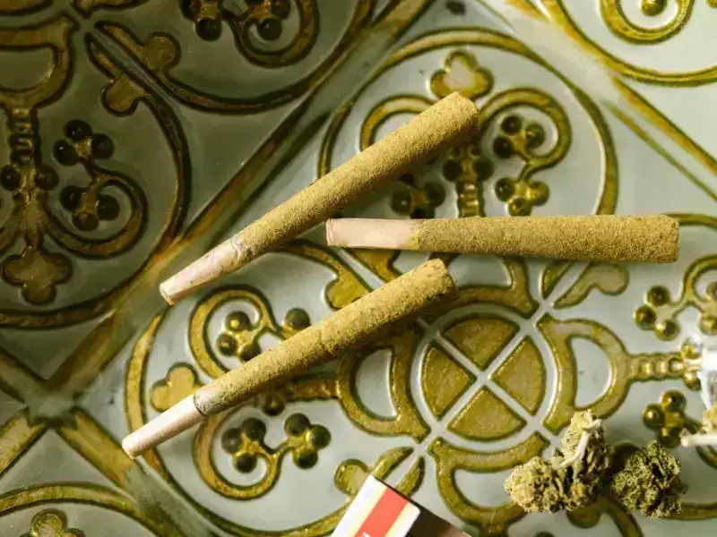 THCa vs. THC for Bulk Cannabis Buyers @ FrostyClub.com BLOGS - Best Wholesale THCa