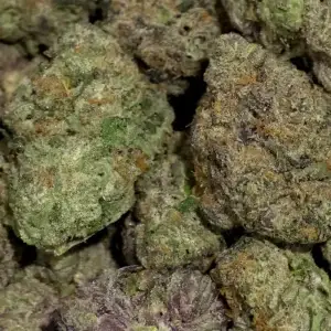 9 LB Hammer - Indica Strain - 40.93% THCa @ FrostyClub.com THCa Wholesale Pros