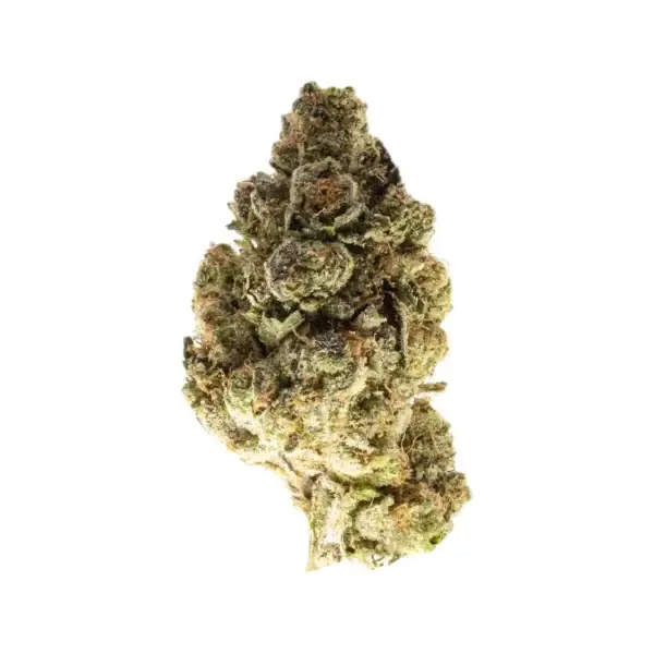 Ace of Spades