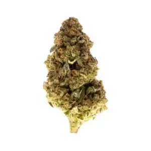 AK-47 — Sativa Strain — THCa Flower — 29.52% — Light Dep - Image 1