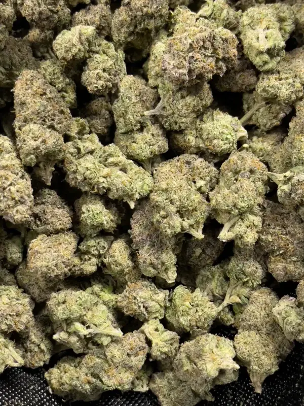 Alabama Boof - Sativa Strain - Wholesale THCa - 31.80% - Private Reserve @ FrostyClub.com - FREE OVERNIGHT SHIPPING!