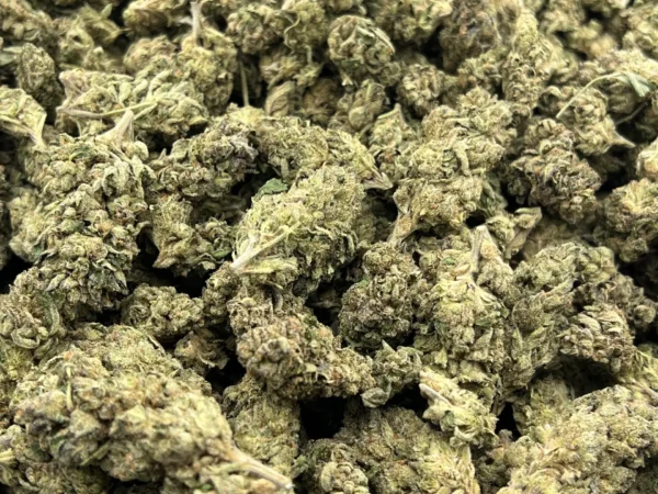 Apple Fritter THCa Flower Indica