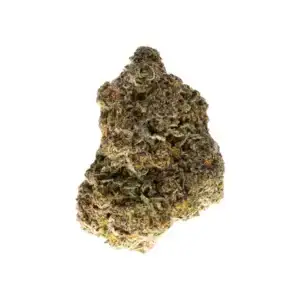 Blue Cookies THCa Flower—Indica—36.58%—Private Reserve - Image 1