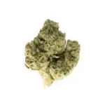 Blue Rhino #2