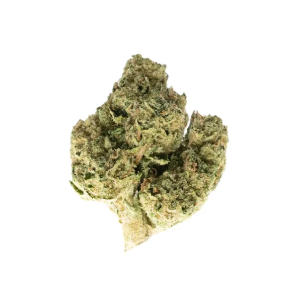 Blue Rhino #2 Blue Rhino #2