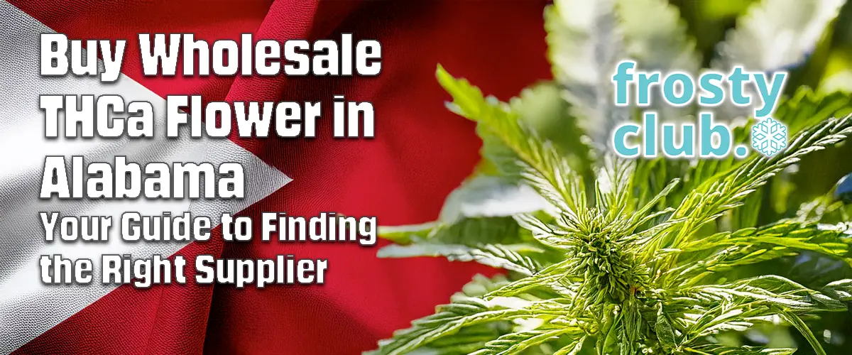 Buy Wholesale THCa Flower in Alabama Your Guide to Finding the Right Supplier @ FrostyClub.com - Best Wholesale THCa!