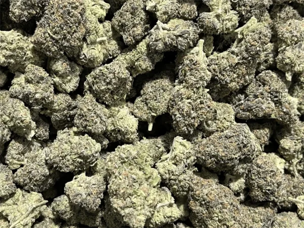 Candy Gas THCa Flower - Hybrid Strain | Frosty Club