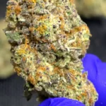 Cherry AK