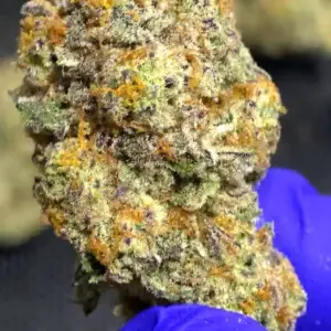 Cherry AK