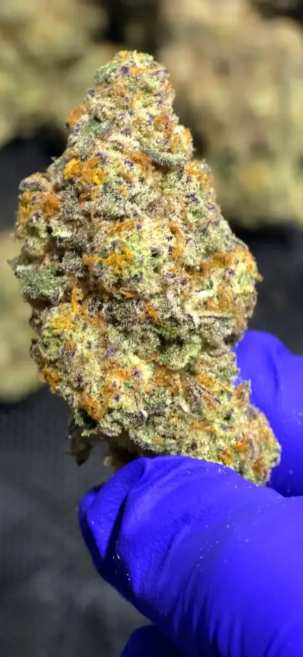 Cherry AK