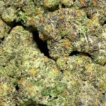 Cherry ZaZa — Indica Strain — THCa Flower — 36.30% — Private Reserve - Image 2