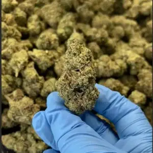 Double Runtz THCa Flower Indica