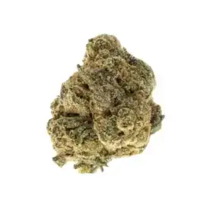 Animal Mint THCa Flower Hybrid