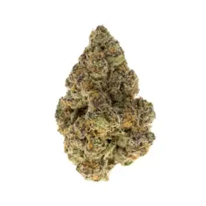CANDYLAND KUSH