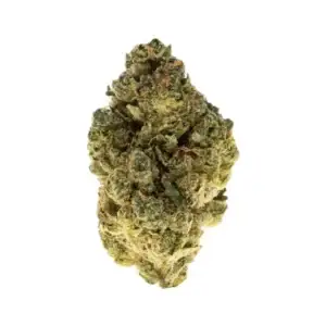 Gary Payton THCa Flower Hybrid