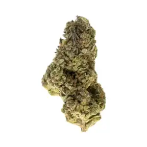 Gush Mint - 27.62% THCa - LD - Image 1