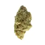 Oreoz THCa Flower Hybrid