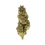 Oreoz #3 THCa Flower Hybrid