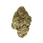 Purple Haze THCa Flower Sativa