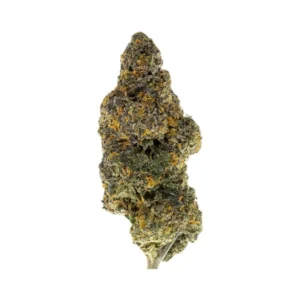 Purple Kush THCa Flower Indica