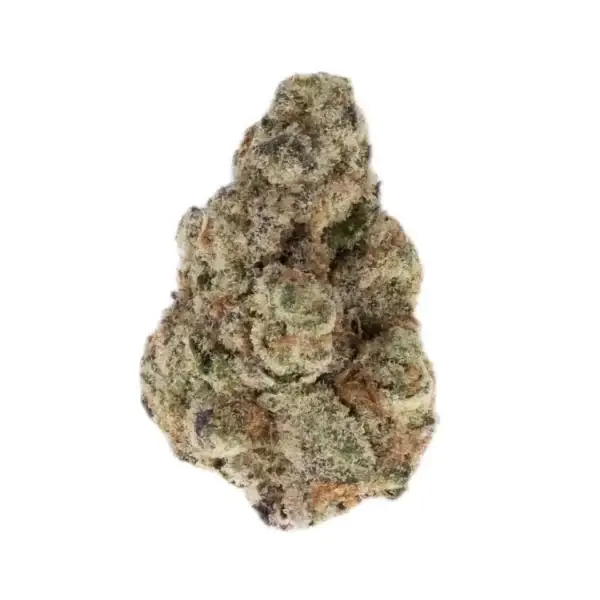 PURPLE TESLA