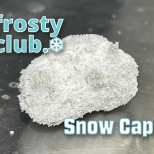 Bama Slamma Snow Caps - 85.30% THCa - Sativa Strain @ FrostyClub.com - FREE OVERNIGHT SHIPPING!
