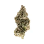 Gorilla Glue #4 THCa Flower Indica