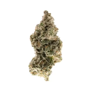 Gorilla Glue #4 THCa Flower Indica