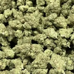 Gelato 41 x Kush Mintz - 26.82% THCa - IN - Image 2