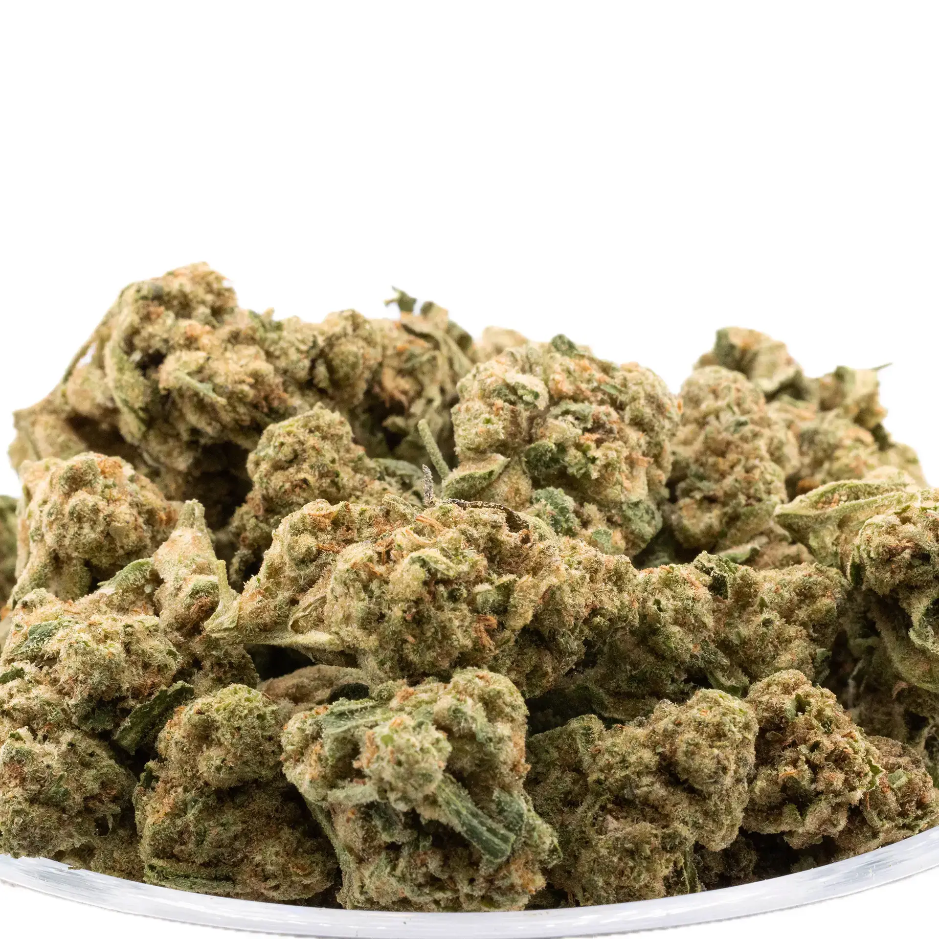 Wholesale THCa Flower from a Reliable Pros @ HighHippy.com for premium Cali-grown craft cannabis.