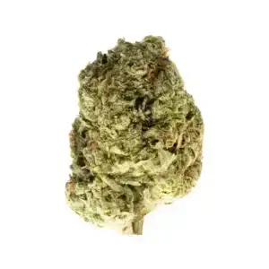 Gelato 41 x Kush Mintz - 26.82% THCa - IN - Image 1