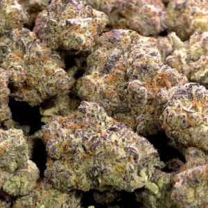 Grape Stomper THCa Flower Sativa