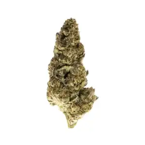 Grapes N Cream - 32.82% THCa - EX - Image 1