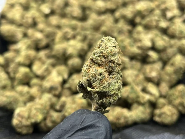 Green Crack #2 THCa Flower Sativa