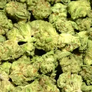 Hawaiian Haze Smalls