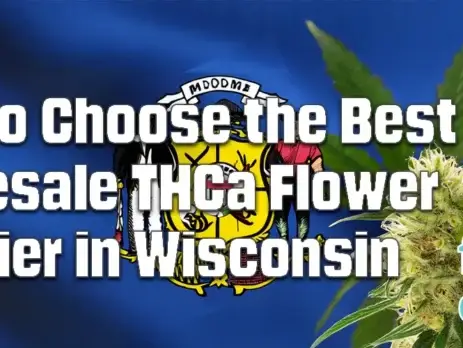 Buy Wholesale THCa Flower in Wisconsin – Guide to Choosing Reliable Suppliers @ FrostyClub.com BLOGS - Best Wholesale THCa Flower