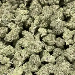 Donny Burger #5 THCa Flower Indica
