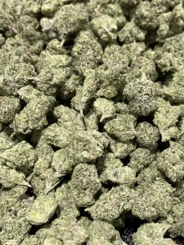 Donny Burger #5 THCa Flower Indica