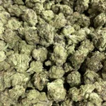 Ice Cream Gelato - 30.74% THCa - LD - Image 2