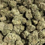 Florida Sunset — Sativa Strain — THCa Flower — 30.05% — Exotic - Image 2