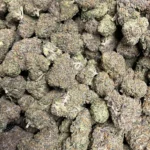 Blue Cookies THCa Flower—Indica—36.58%—Private Reserve - Image 2
