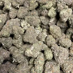 Blue Cookies THCa Flower—Indica—36.58%—Private Reserve - Image 2