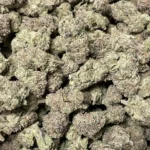 Cotton Candy THCa Flower Indica