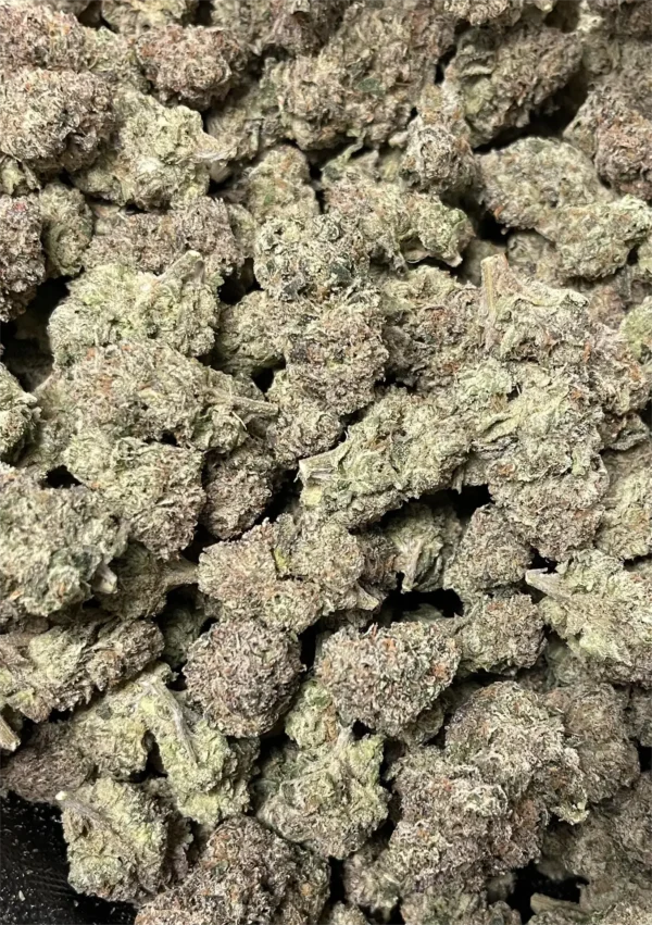 Cotton Candy THCa Flower Indica