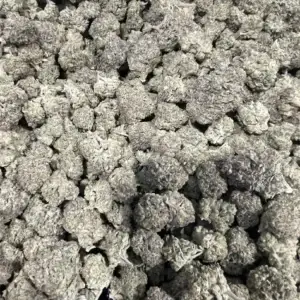 Cereal Milk