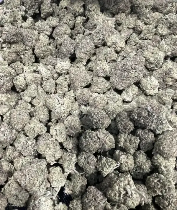 Cereal Milk