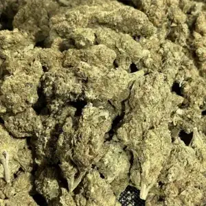 Gush Mint - 27.62% THCa - LD - Image 2