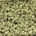 Mafia Funeral THCa Flower Indica