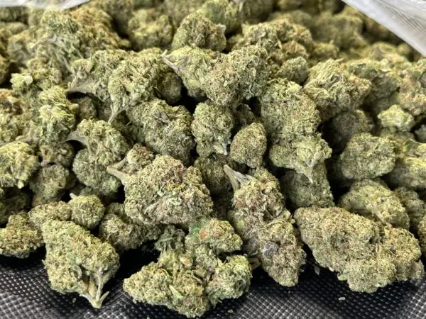 Double Runtz THCa Flower Indica