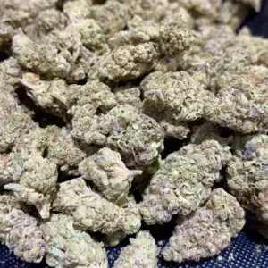 Red Headed Stranger THCa Flower Sativa